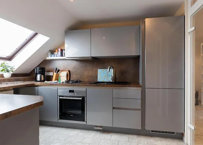 Macabu Premium Joker,chemnitz *