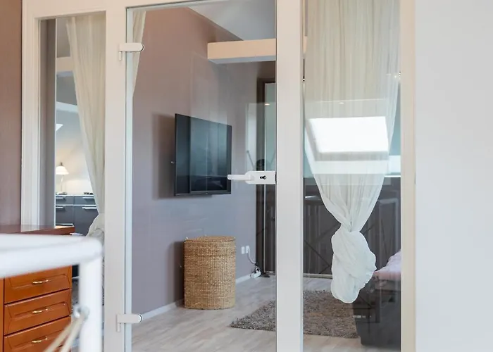 Macabu Premium Joker,chemnitz * Chemnitz (Saská Kamenice)